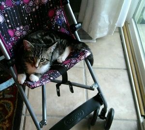 Meet your Posher, Savannah